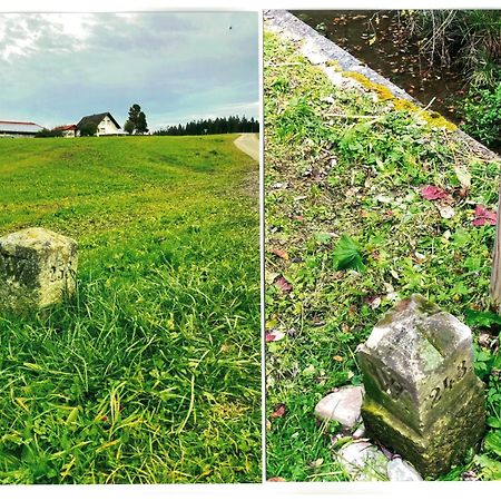 Uebernachtungsmoeglichkeit In Maierhoefen Grunenbach Luaran gambar